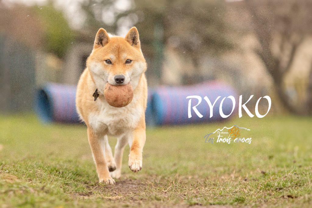 Ryoko (Sans Affixe)